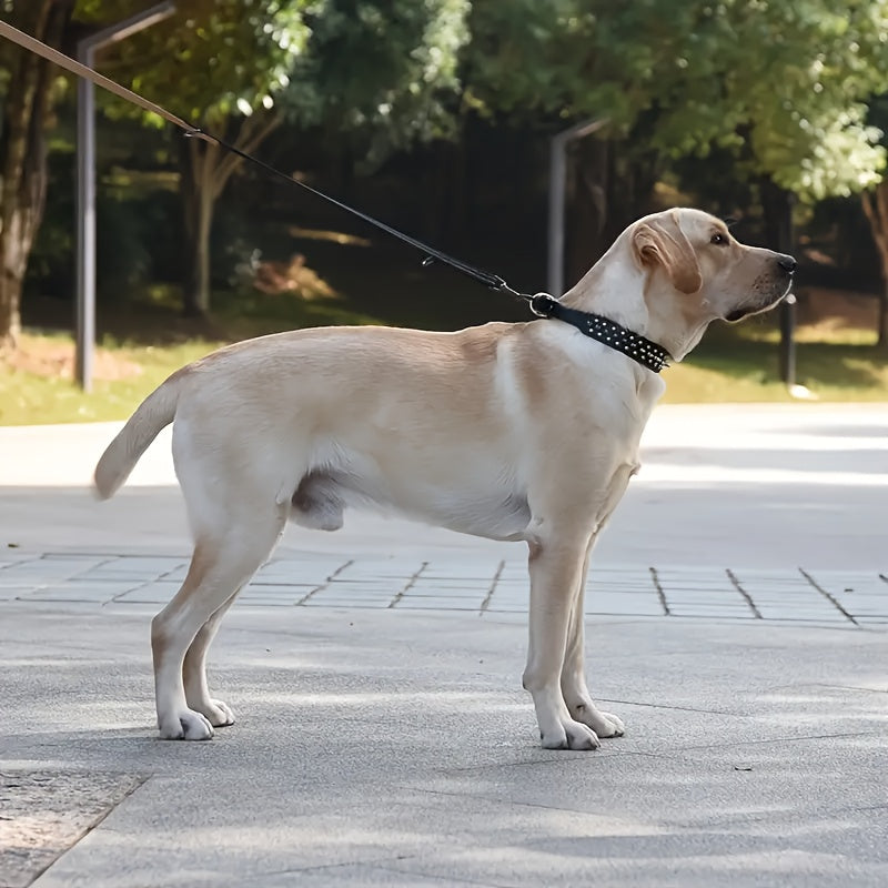 Adjustable Spiked Dog Collar - Strong and Safe for Large Dogs
