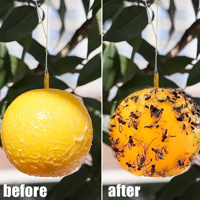 Sticky Fly Traps – Simple Solution Against Fly Infestation