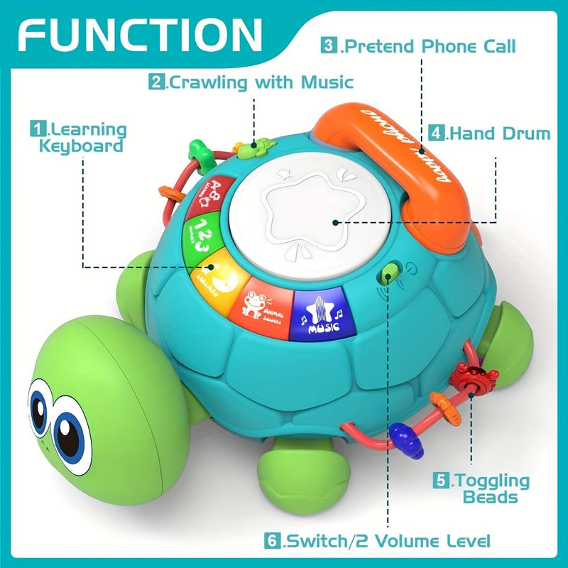 Interactive Musical Turtle Toy for Children – Educational and Fun, With Lights and Sounds