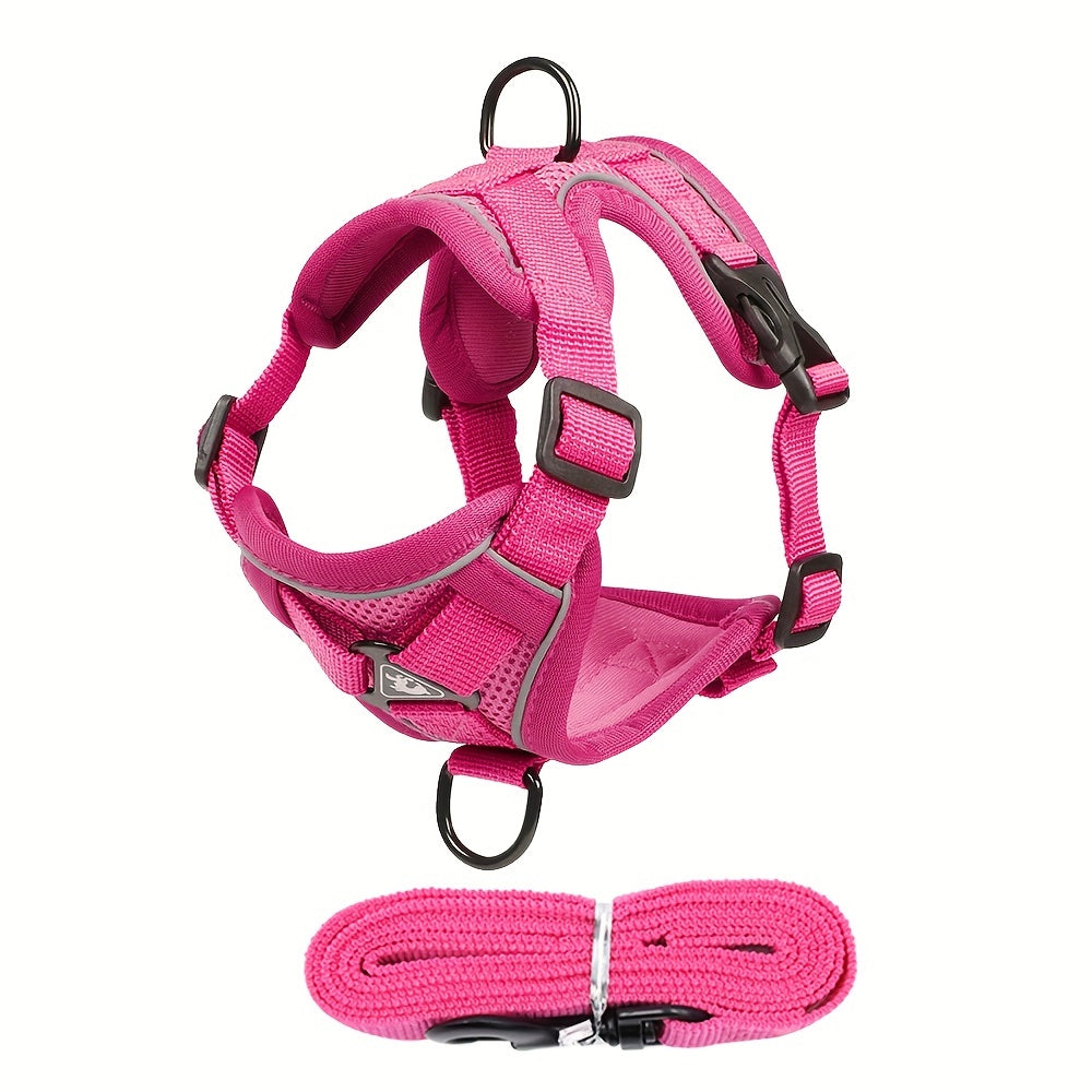 Reflective Cat Harness and Leash Set – Ideal for Walking and Training