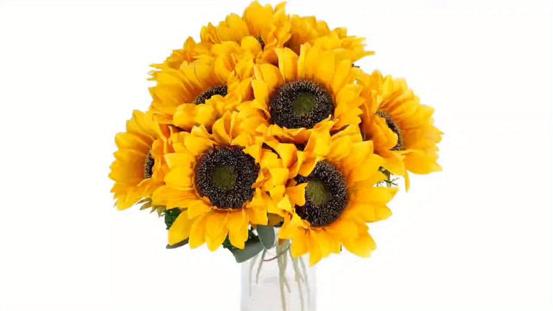 Set of 11 Vibrant Sunflowers – Perfect for Autumn, Weddings, and Garden Decoration
