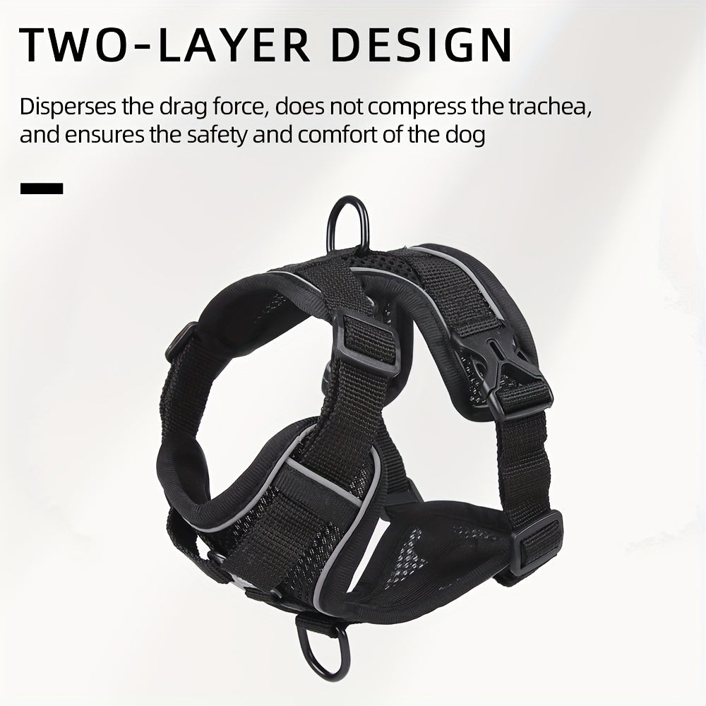 Reflective Cat Harness and Leash Set – Ideal for Walking and Training