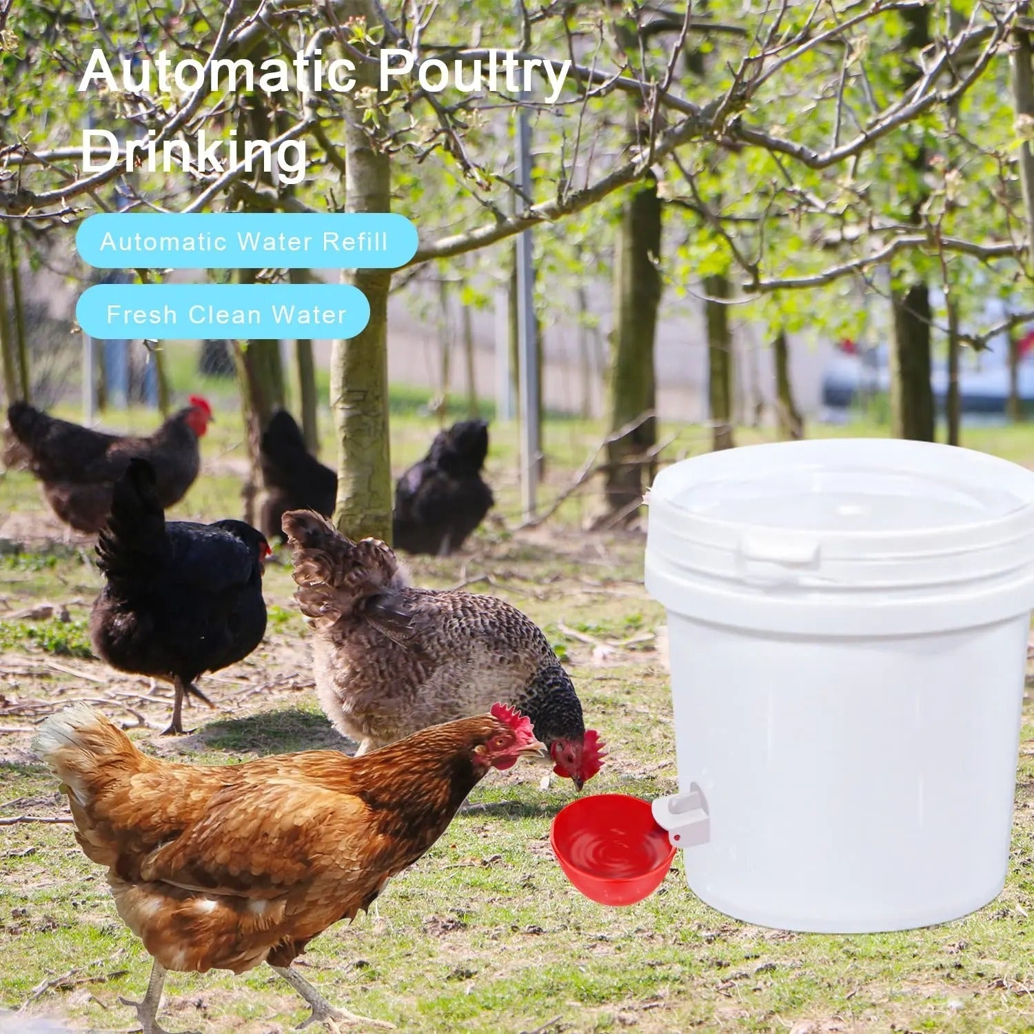 Set of 10 Chicken Water Bowls – Practical and Efficient