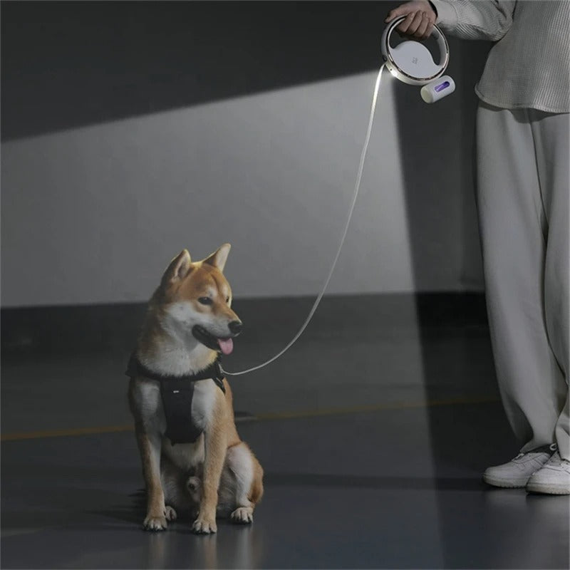 LED Automatic Dog Leash – Ergonomic Handle & Safety Light