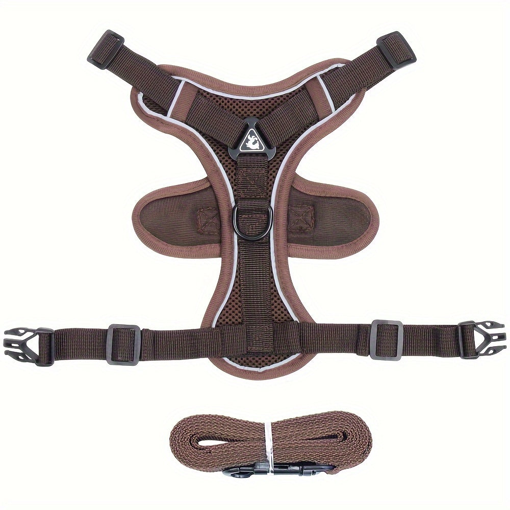 Reflective Cat Harness and Leash Set – Ideal for Walking and Training