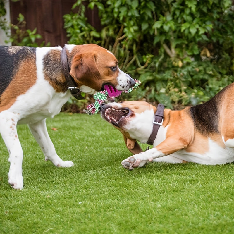 Interactive Dog Chew Toy – With Colorful Knots and Rubber Ball