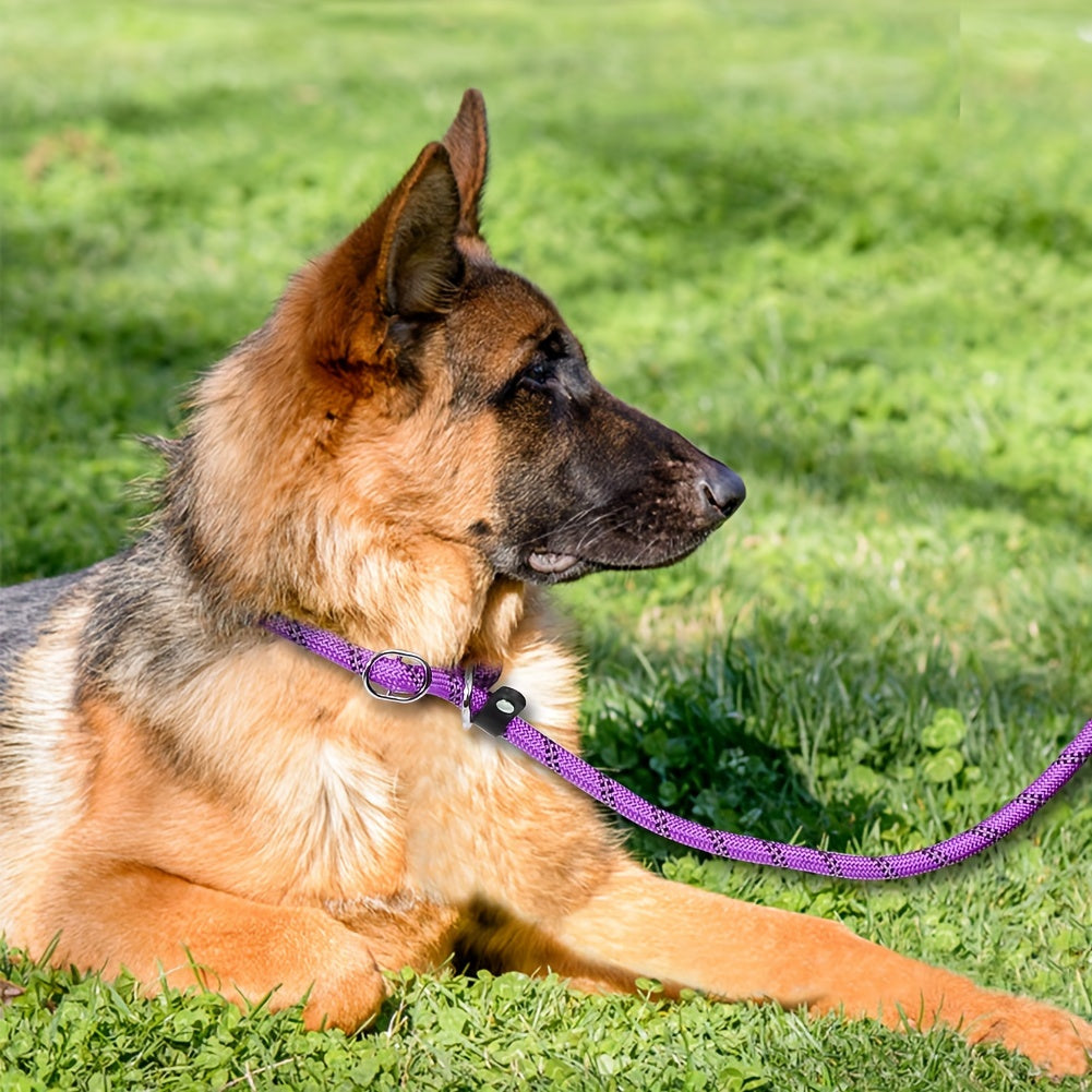 Reflective Dog Leash with Padded Handle – Adjustable and Durable for All Dogs