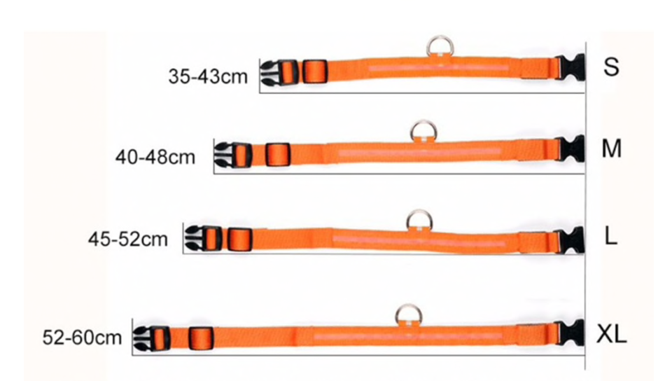 DogSafe Pro - LED Collar for Dogs - Feel Safe and Stylish While Walking