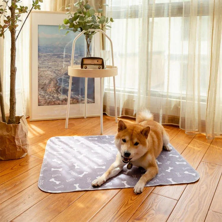 PetPlush - Absorbent Pee Pad for Dogs