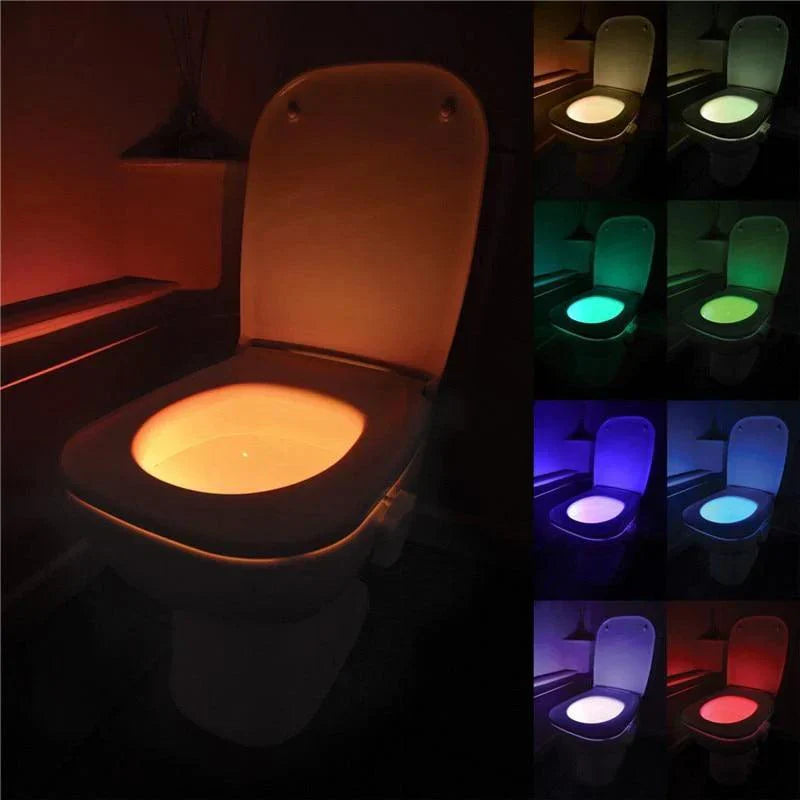 Atmospheric Toilet Lighting - Make Your Toilet Visit More Enjoyable