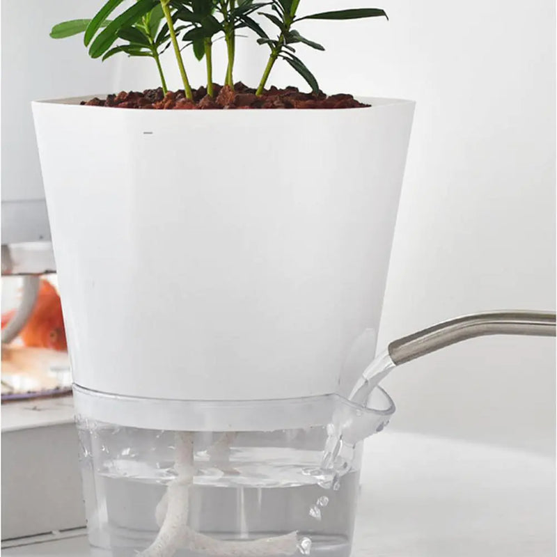 AquaPlanter - Smart Flower Pot and Mini Aquarium in One