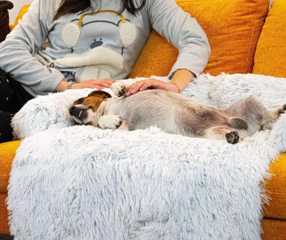 DogComfort Deluxe Blanket - Luxury & Protection for Your Furniture
