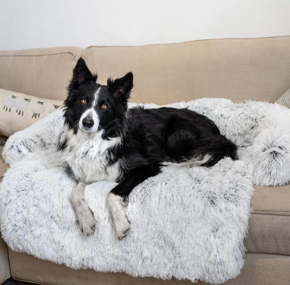 DogComfort Deluxe Blanket - Luxury & Protection for Your Furniture