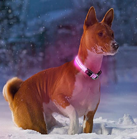 DogSafe Pro - LED Collar for Dogs - Feel Safe and Stylish While Walking
