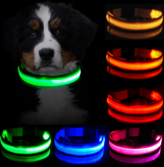 DogSafe Pro - LED Collar for Dogs - Feel Safe and Stylish While Walking