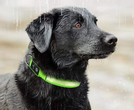 DogSafe Pro - LED Collar for Dogs - Feel Safe and Stylish While Walking