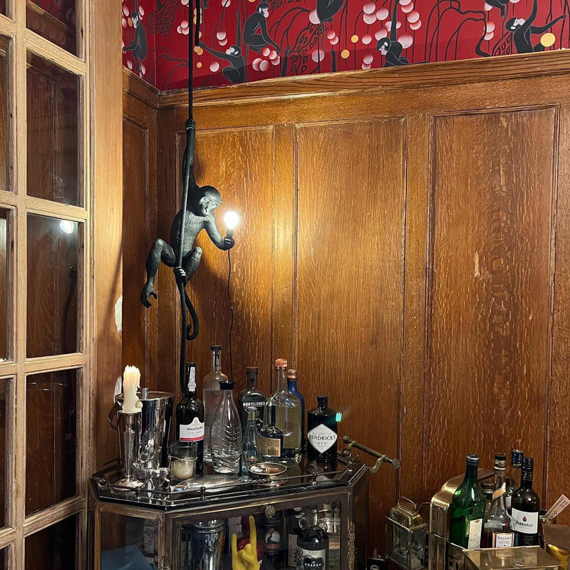 ArteSimian Hanging Wall Lamp – Sculpted Statement Design