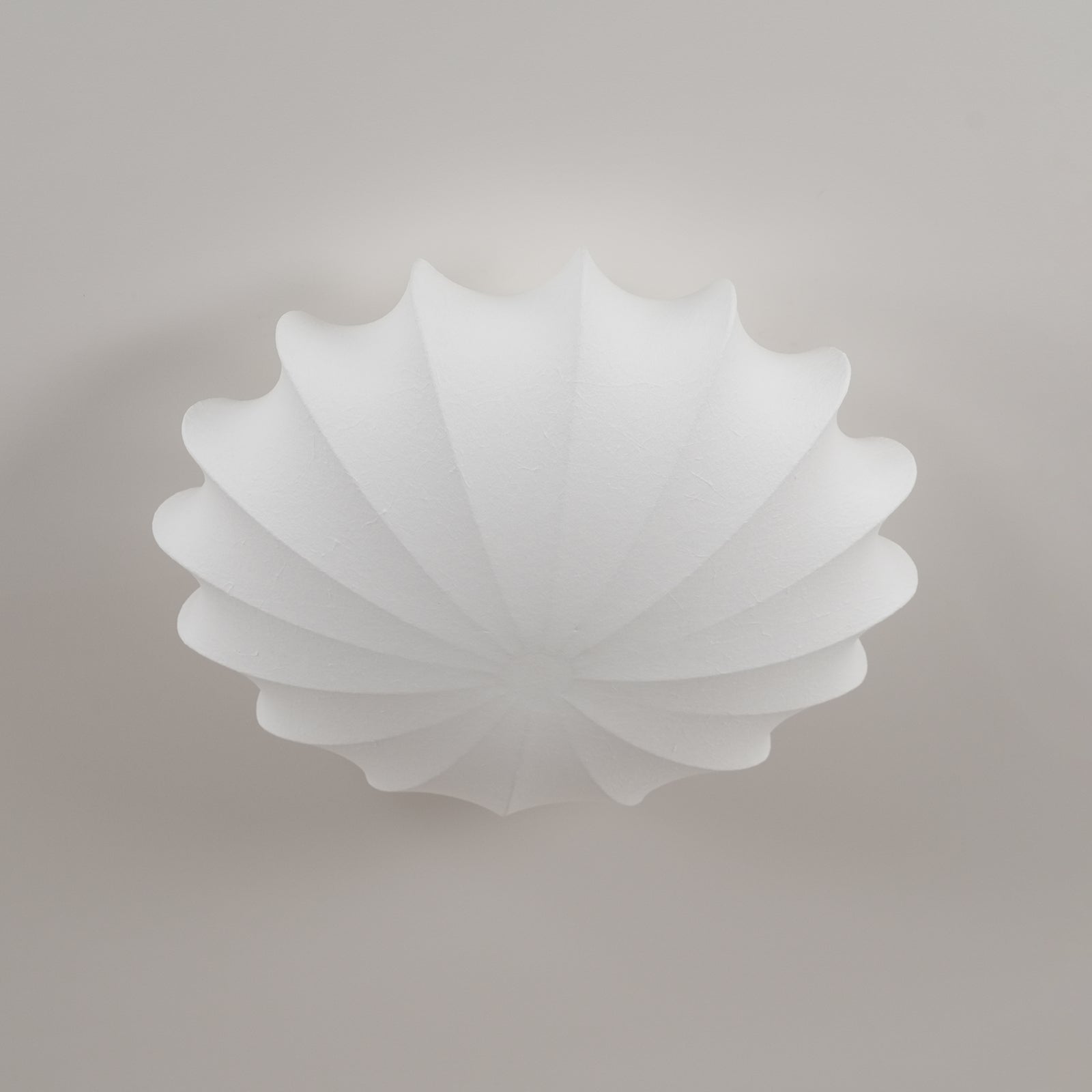 Shell-Shaped Ceiling Light – Modern and Atmospheric Home Accessory