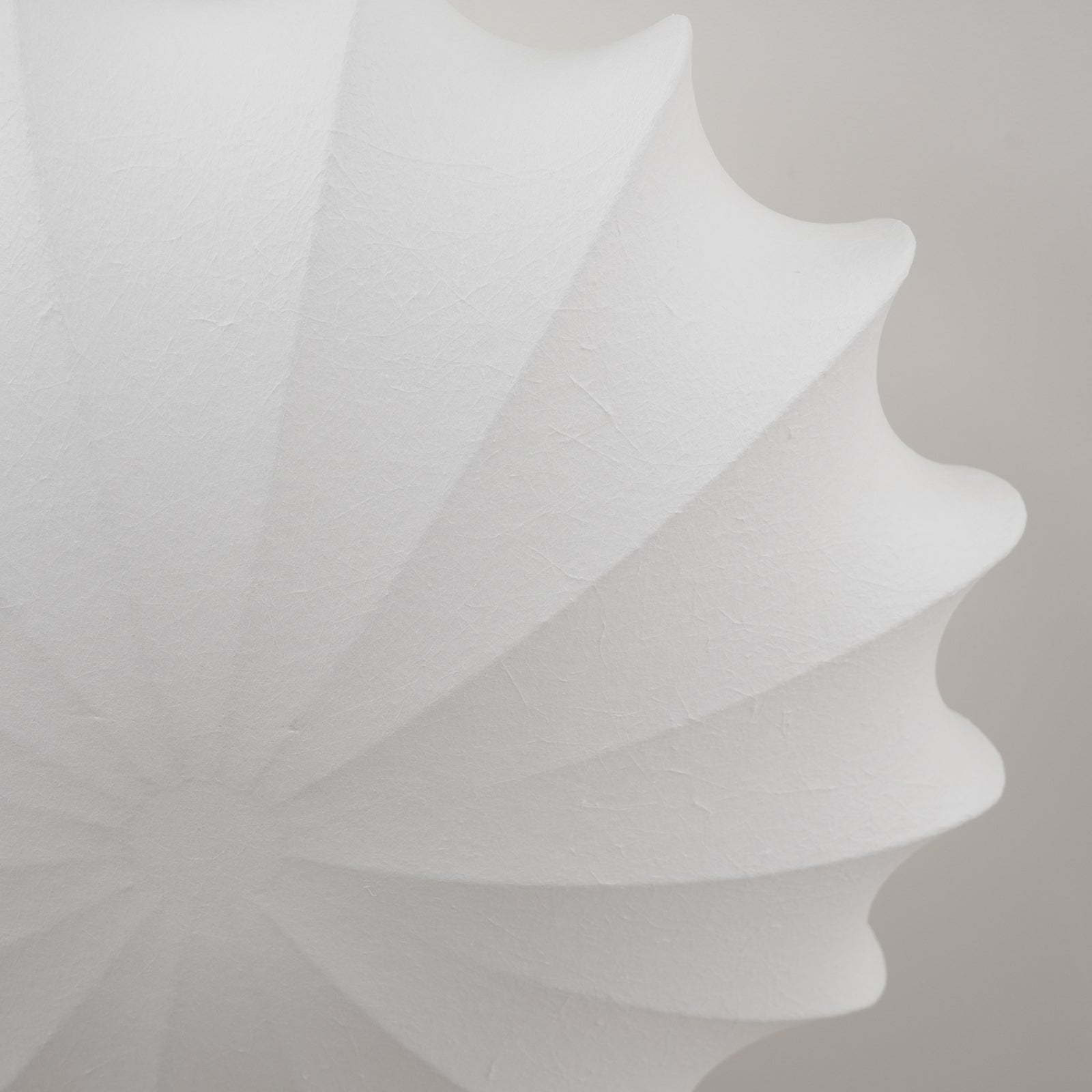 Shell-Shaped Ceiling Light – Modern and Atmospheric Home Accessory
