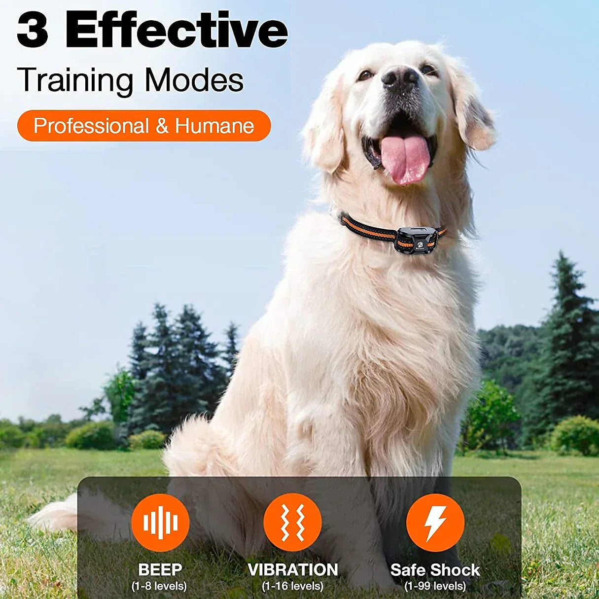 Maximal Control Training Collar - For Effective Training