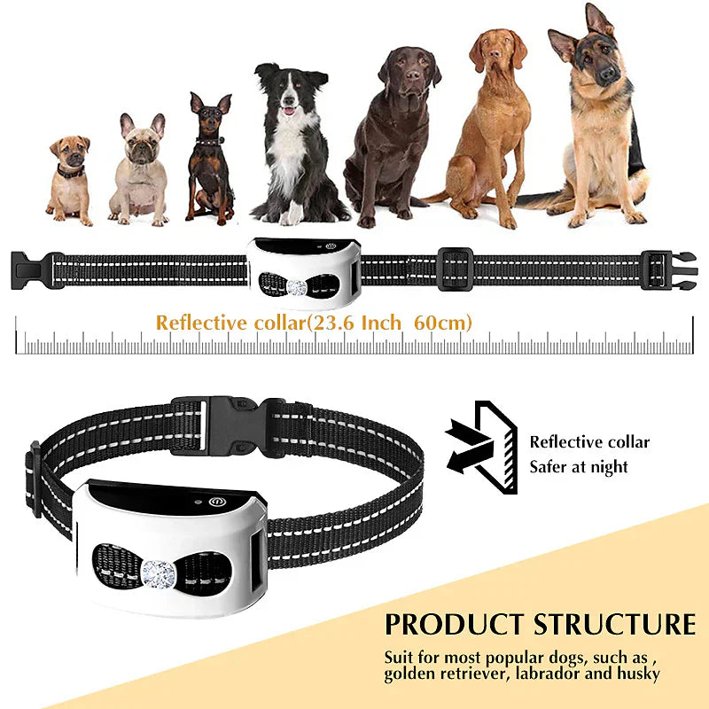 PawGuard Wireless Dog Collar - Freedom and Safety for Your Dog