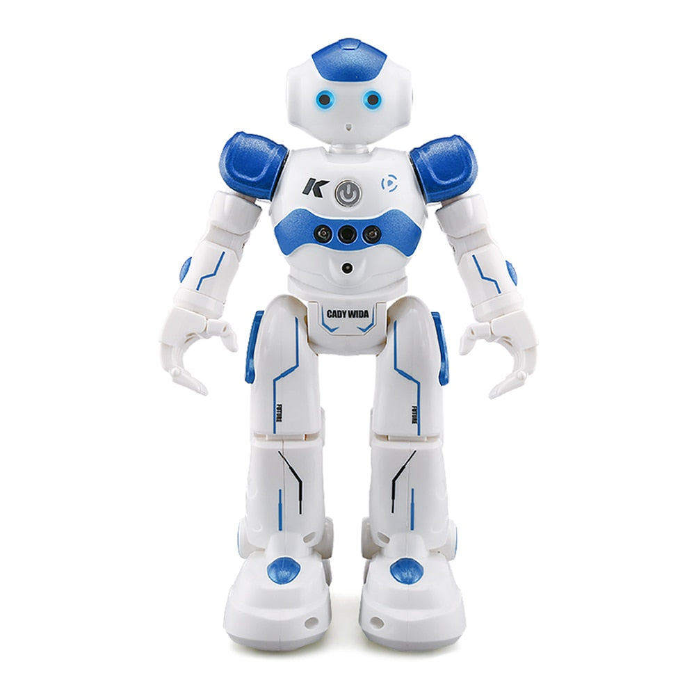 Interactive Robot with Gesture Control – Educational and Fun for Children