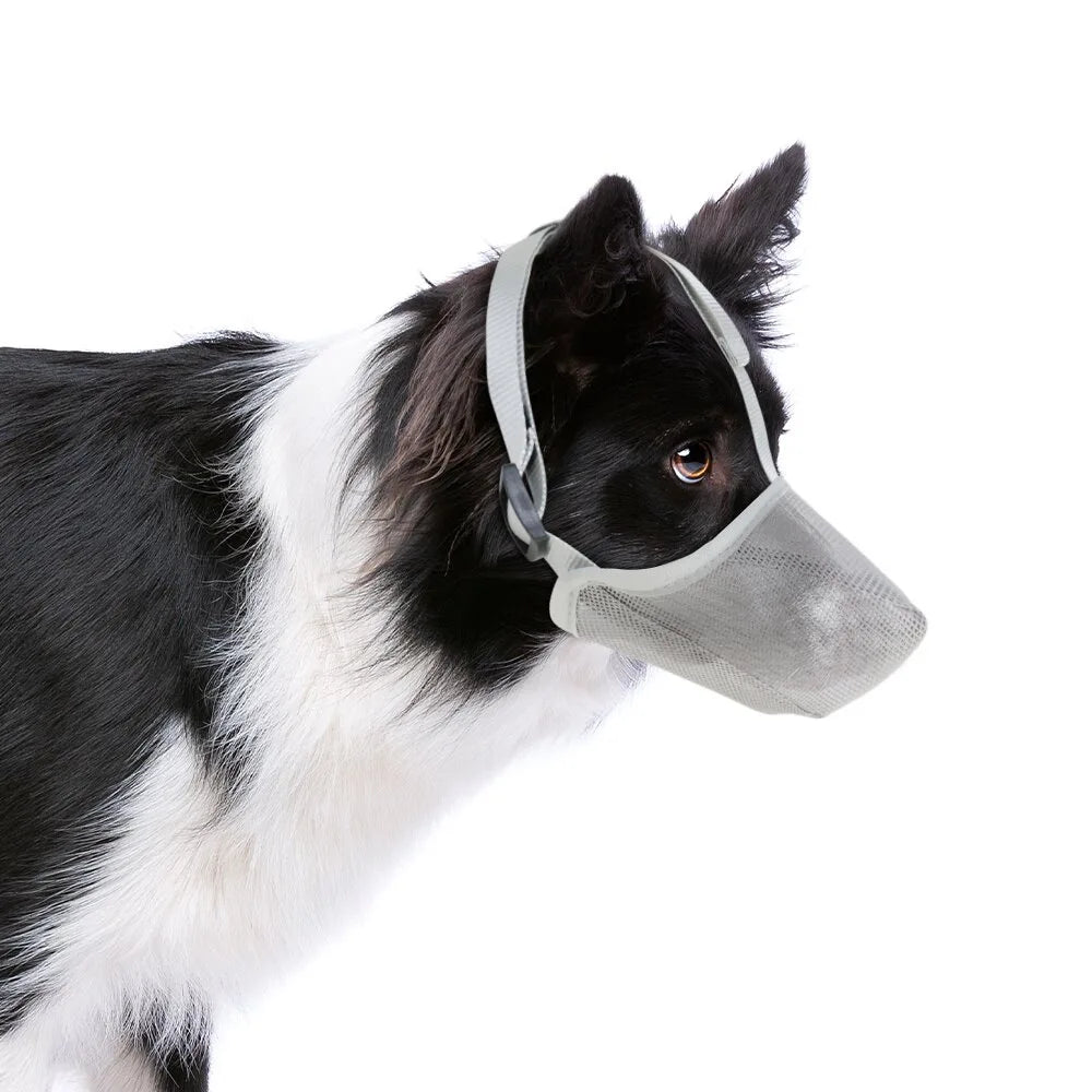 AirMesh Muzzle – Soft and Comfortable Dog Muzzle