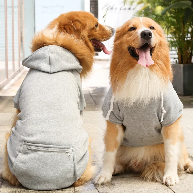 Bobby Dog Hoodie – For a trendy look