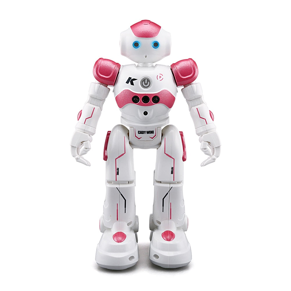 Interactive Robot with Gesture Control – Educational and Fun for Children