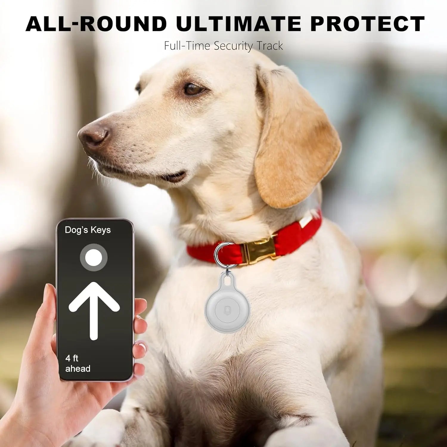 PawTrack GPS – For Worry-Free Adventures