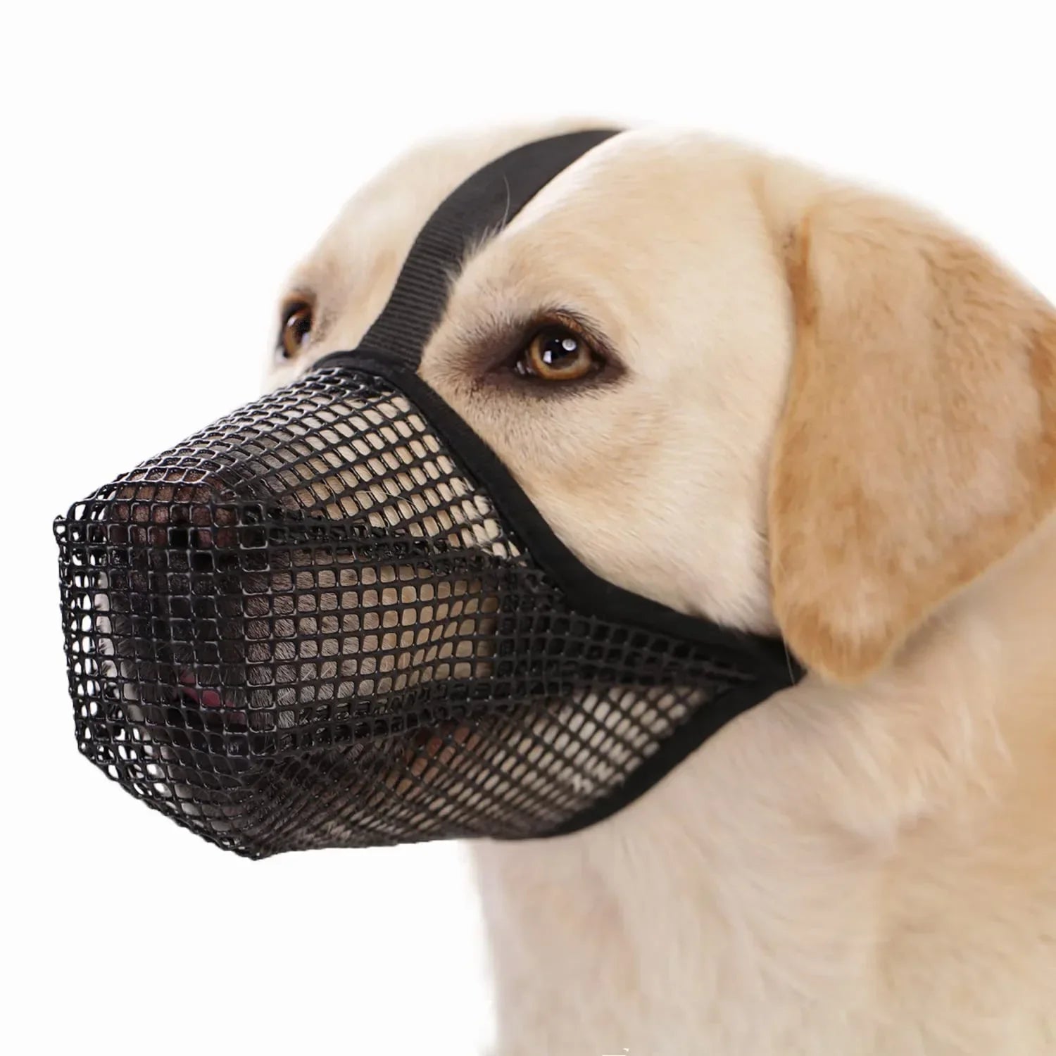 AirMesh Muzzle – Soft and Comfortable Dog Muzzle