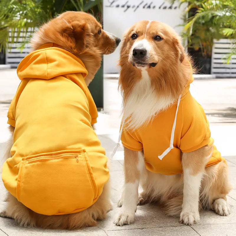 Bobby Dog Hoodie – For a trendy look