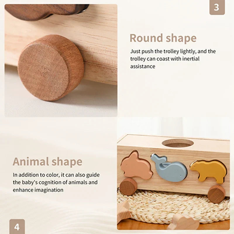 Colorful Shape Set – For Creative Learning and Play