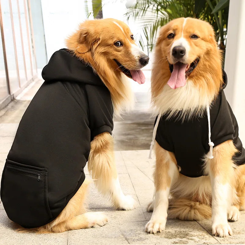 Bobby Dog Hoodie – For a trendy look