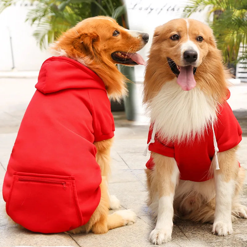Bobby Dog Hoodie – For a trendy look