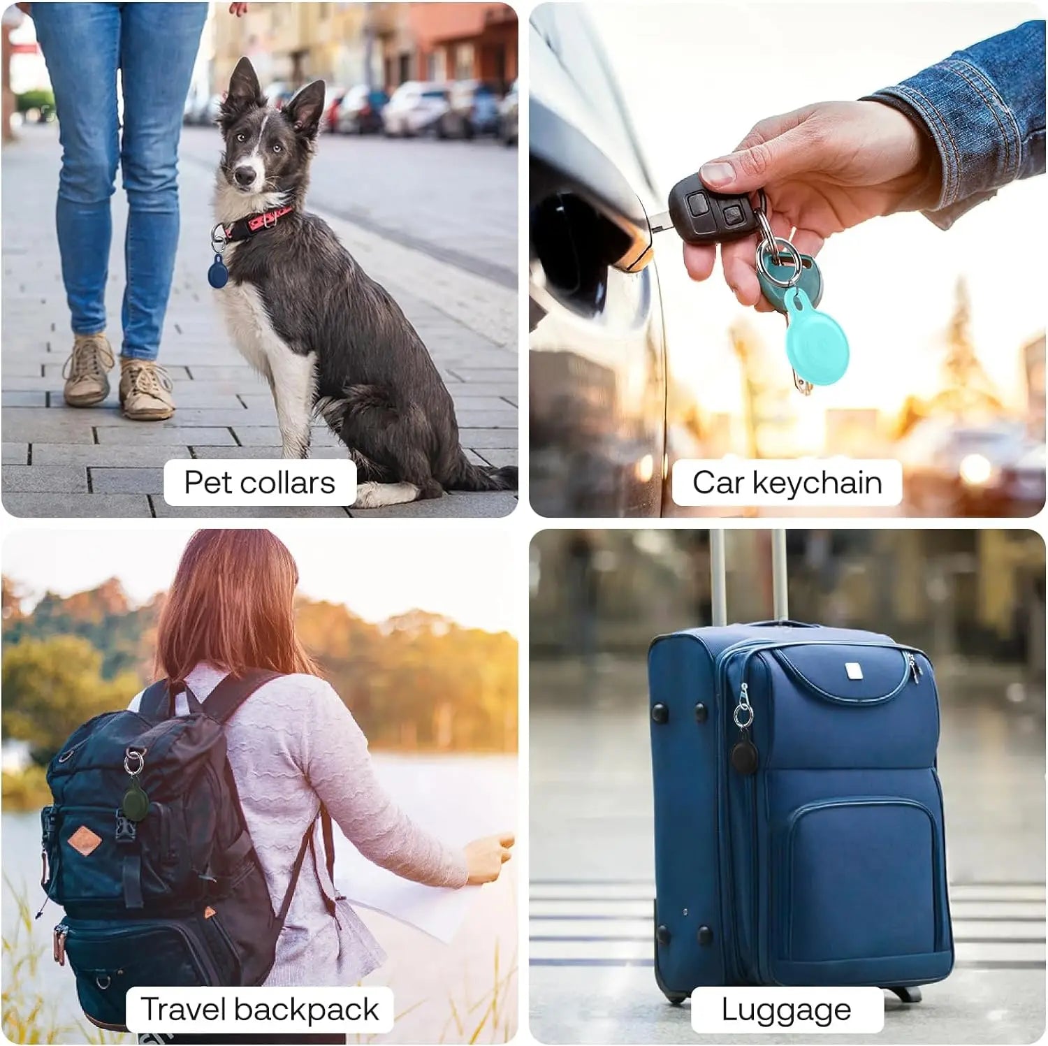 PawTrack GPS – For Worry-Free Adventures