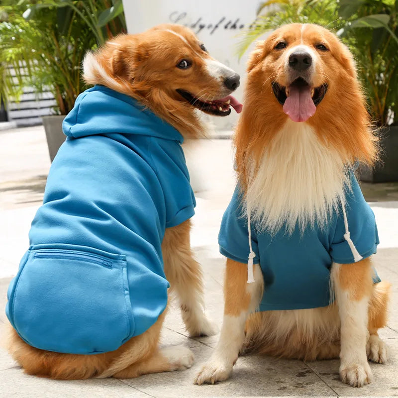 Bobby Dog Hoodie – For a trendy look