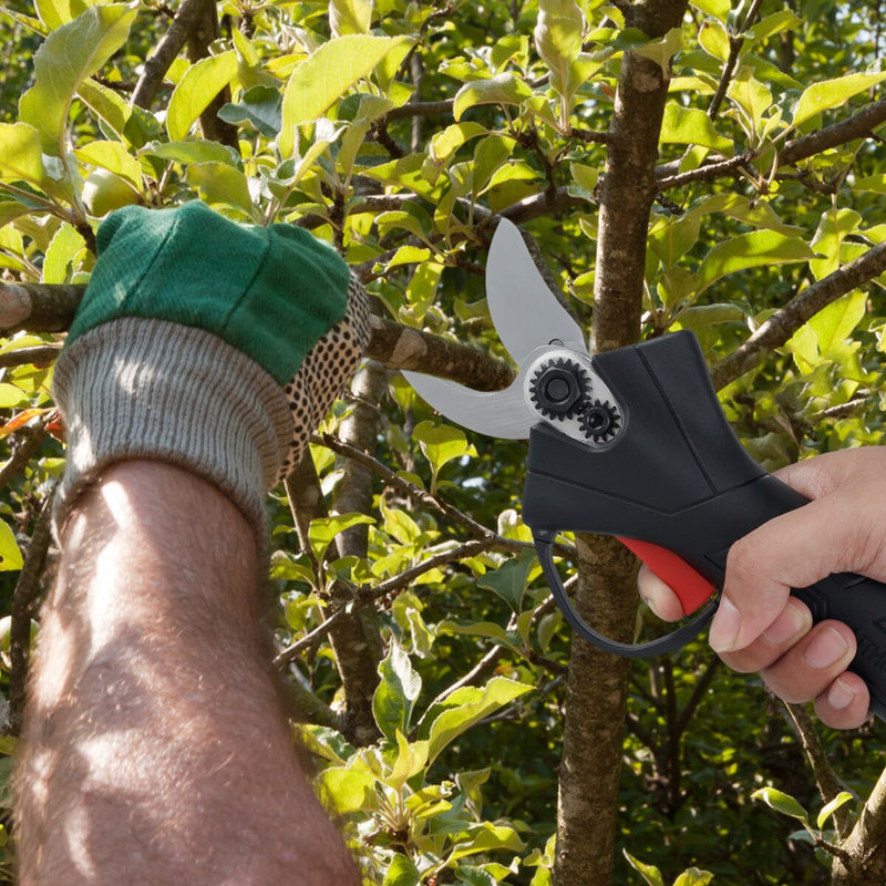 EcoSnip - Wireless Electric Pruning Shears