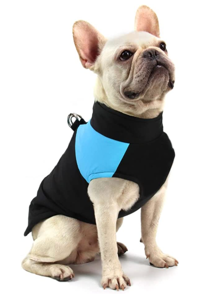 CozyPaws Dog Jacket - Warm & Waterproof