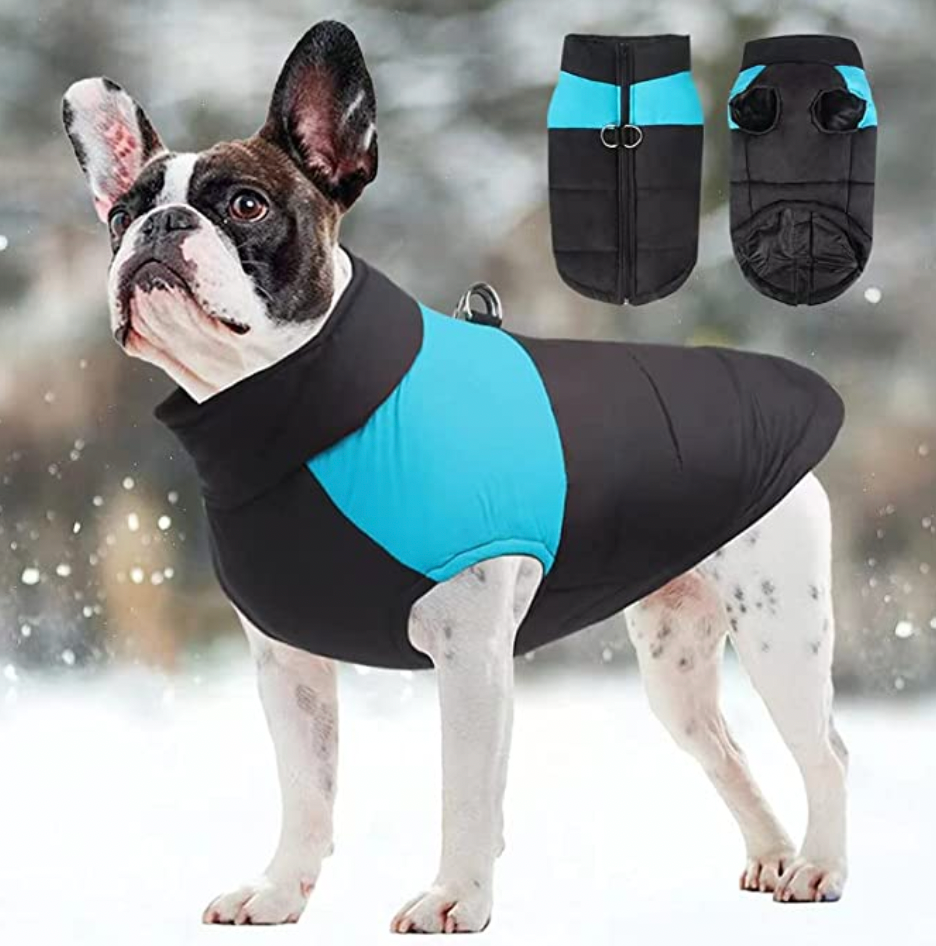 CozyPaws Dog Jacket - Warm & Waterproof