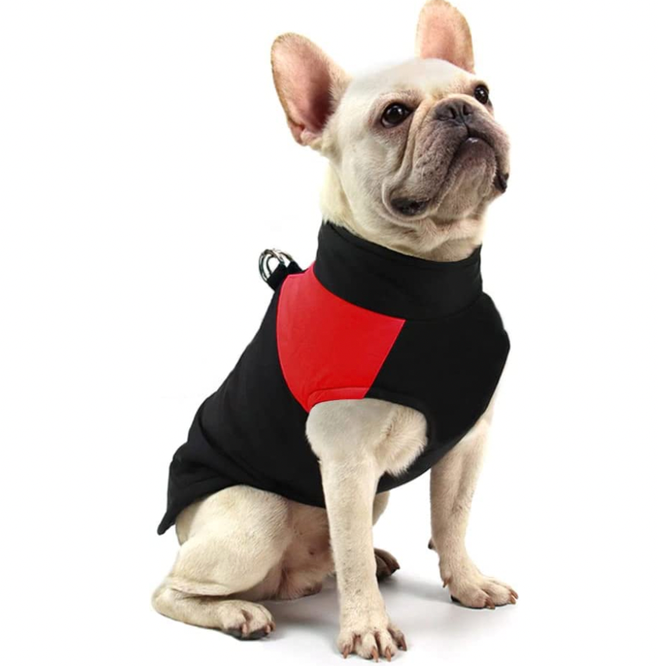 CozyPaws Dog Jacket - Warm & Waterproof