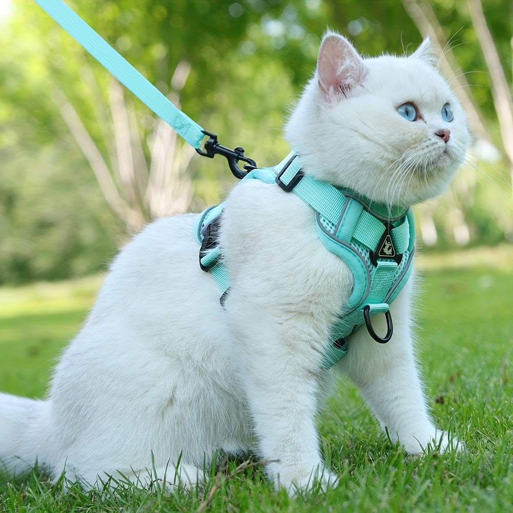 Reflective Cat Harness and Leash Set – Ideal for Walking and Training