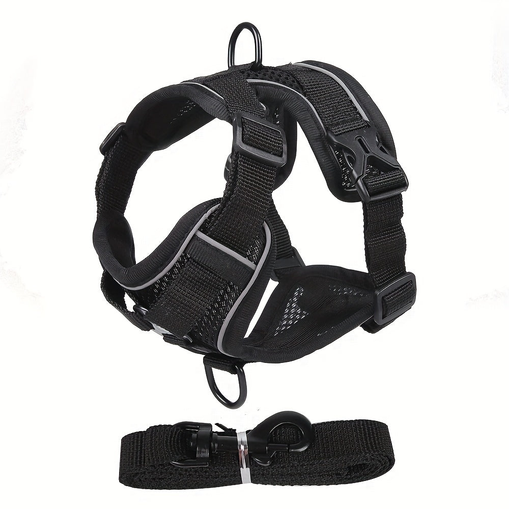 Reflective Cat Harness and Leash Set – Ideal for Walking and Training