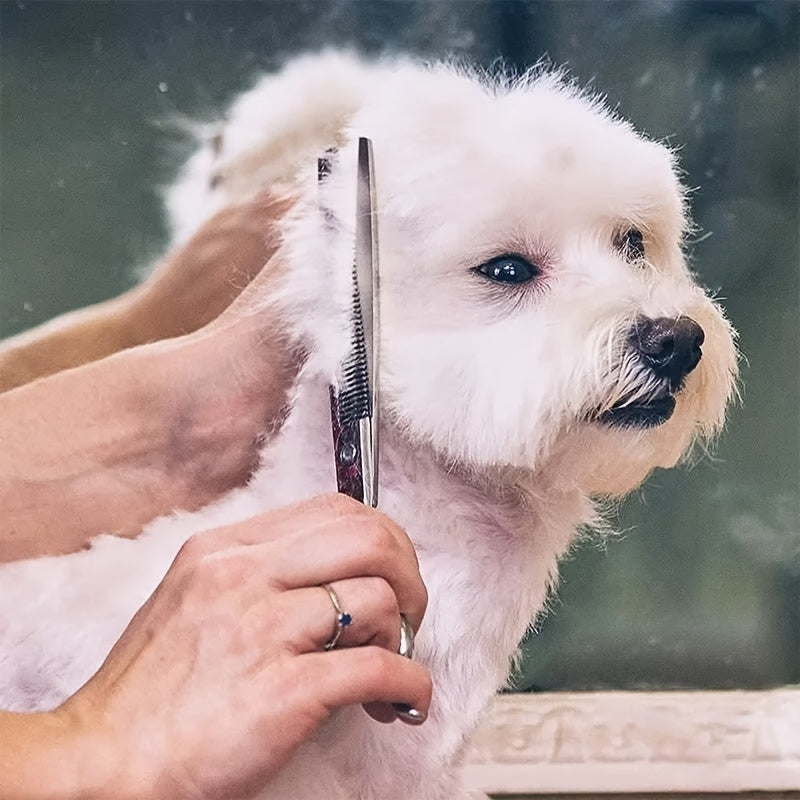 Professional Pet Grooming Kit – Scissors and Comb for Perfect Grooming of Dogs and Cats