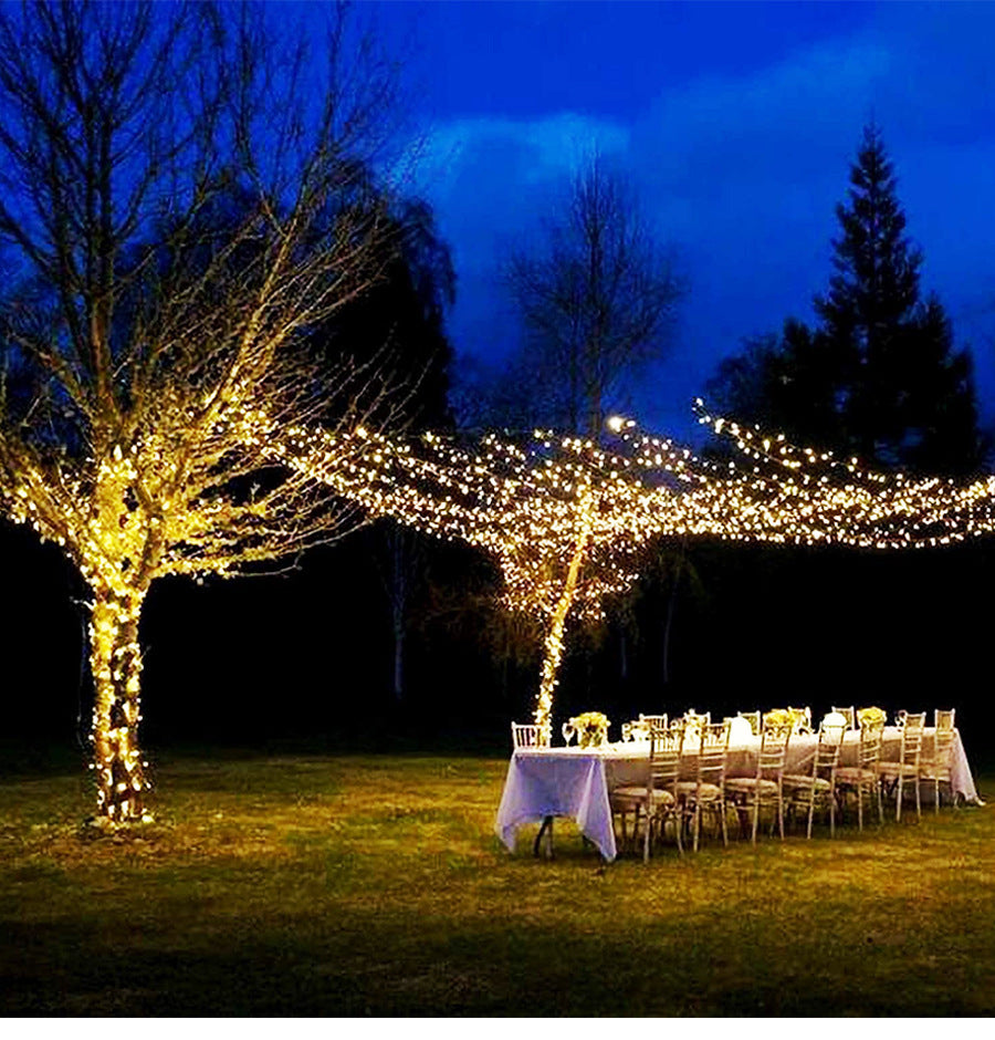 SmartGlow Christmas Lights - Colorful Lighting with App Control