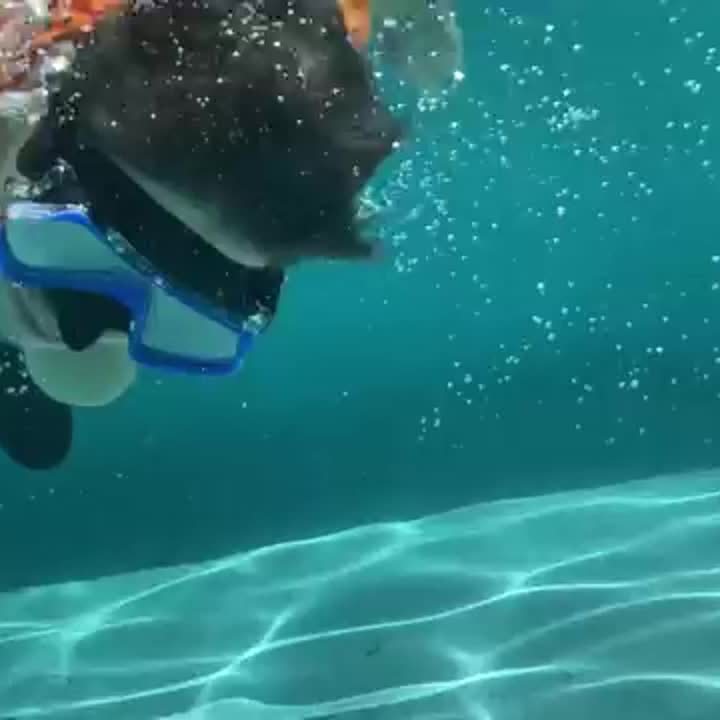 AquaClear Snorkel Set – Leak-Proof, Comfortable, and With Great Visibility