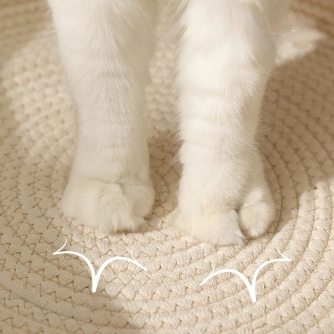 CatSnuggle Bed - Stylish & Comfortable for Your Beloved Pet