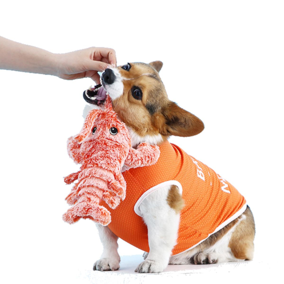 Dancing Lobster – Interactive Plush Dog Toy with Motion Sensor