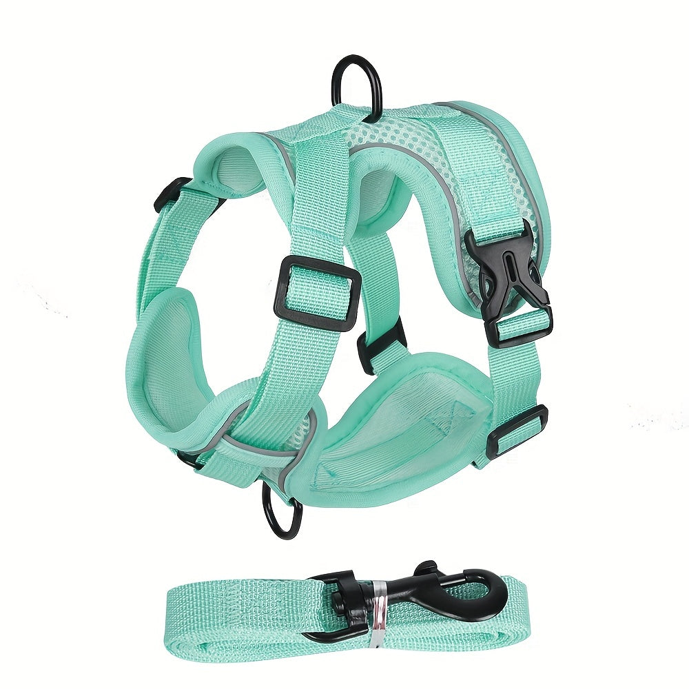 Reflective Cat Harness and Leash Set – Ideal for Walking and Training