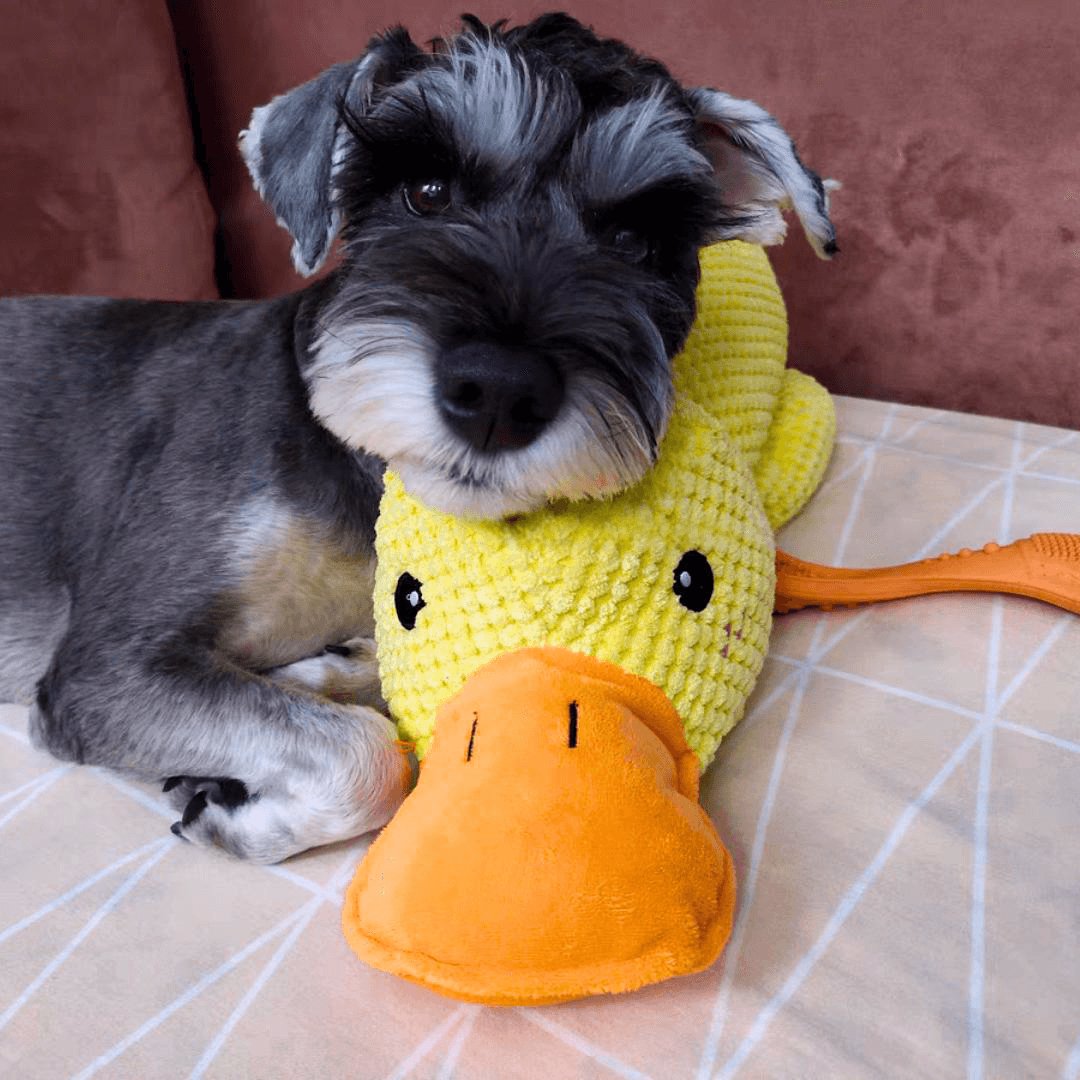 Calming Duck Toy – For Comfort and Chewing Fun